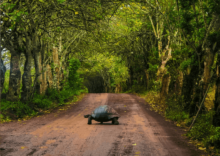 About Anywhere.com - Local Travel Experts - Anywhere.com travel planning and vacation services