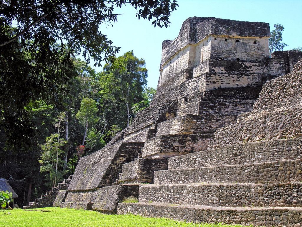 Central and South American Ruins Image: The steps of one of Belize's ancient structures in the midst of the jungle.