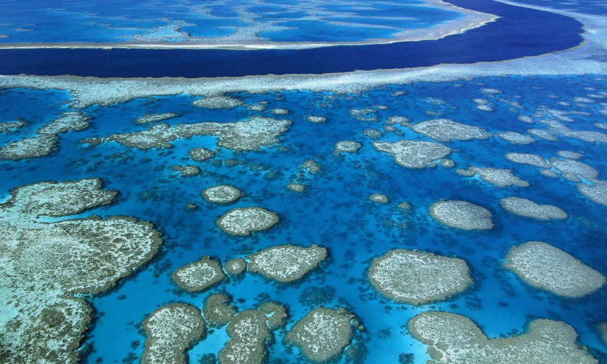 This WILL NOT Be The End Of The Belize Barrier Reef