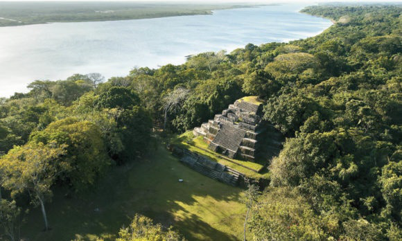 Belize River Tour Image: Lamanai and a river are divided by a lush canopy. 