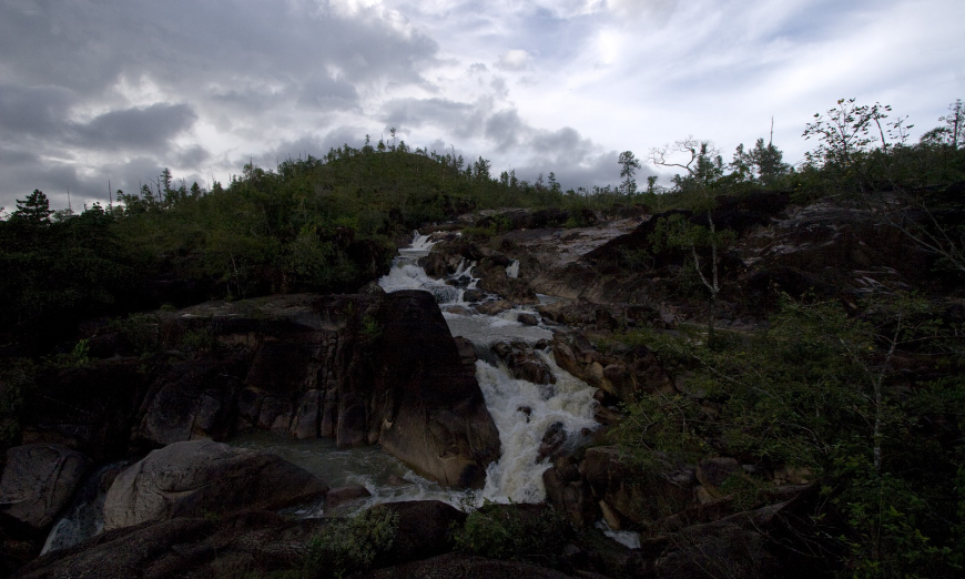 Belize River Tour Image: Winding water makes its way past trees and down the rocks of Mountain Pine.