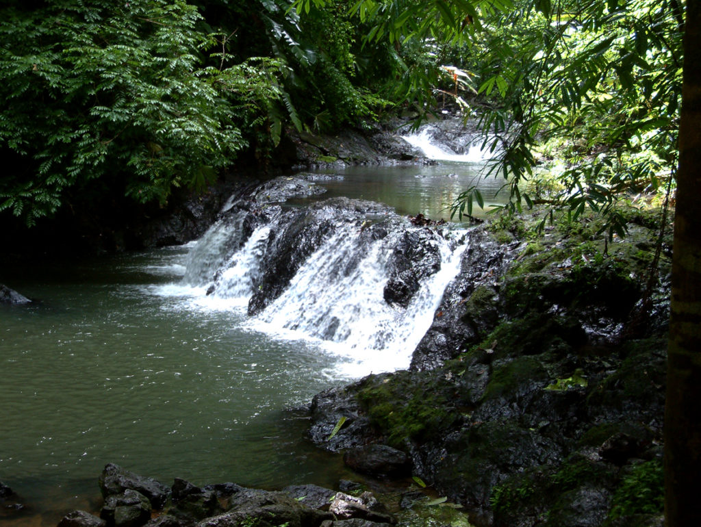 Rainforests & Natural Wonders Image: Corcovado. Photographed is a stream spilling over rocks to create a small waterfall.
