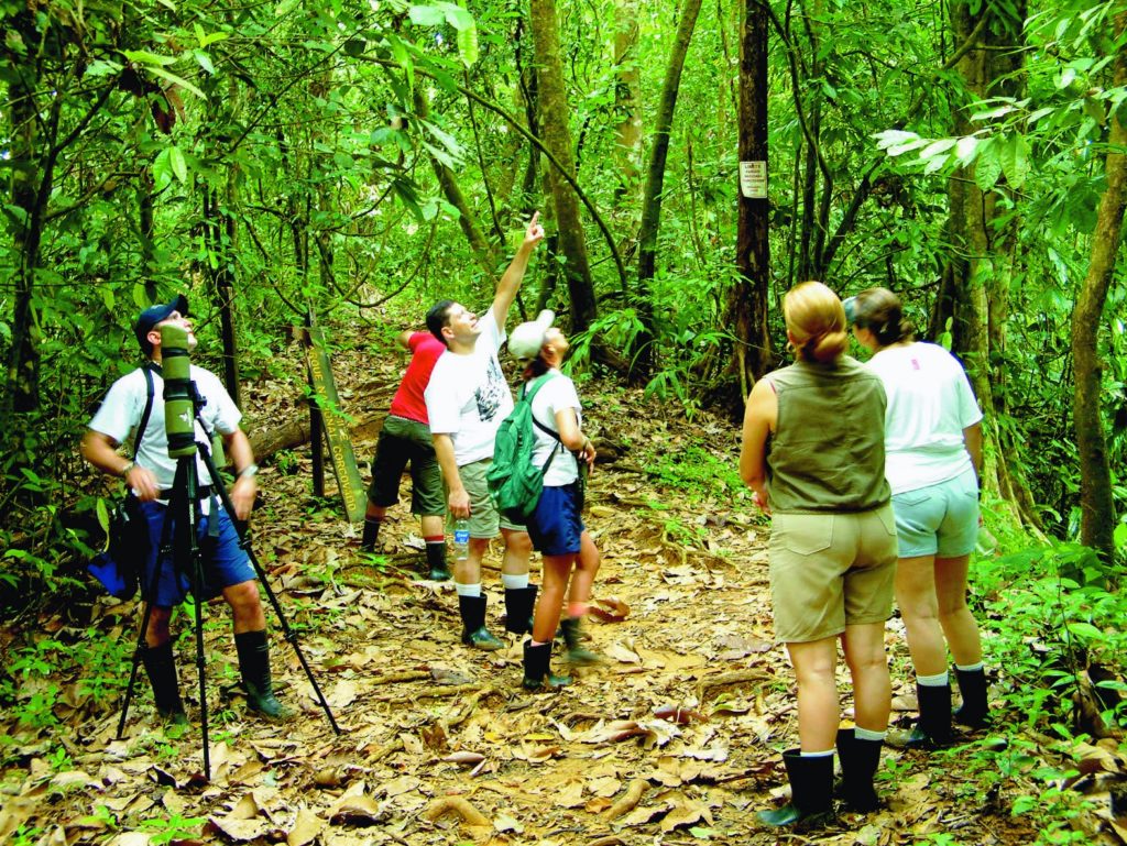 Eco-Friendly Costa Rica Image: A group of six people are observing something in the trees of a Costa Rican forest.