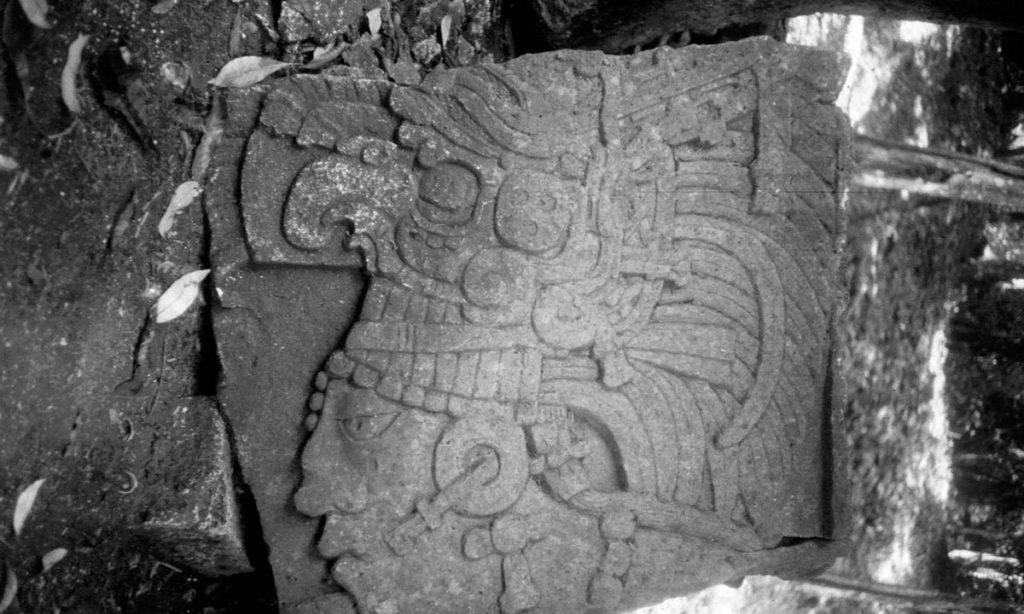 Mayan Image: A carved stone relic depicts the head of a Mayan man wearing an impressive headdress.