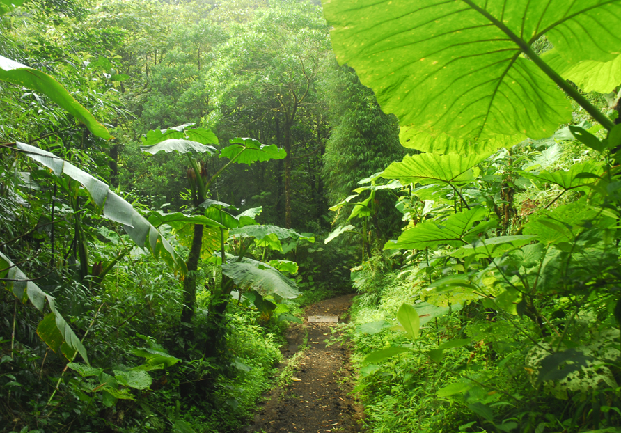 Where to Get in Touch with Nature in Central & South America