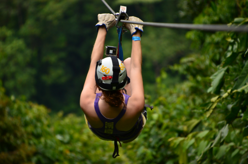 The Piantas In Paradise