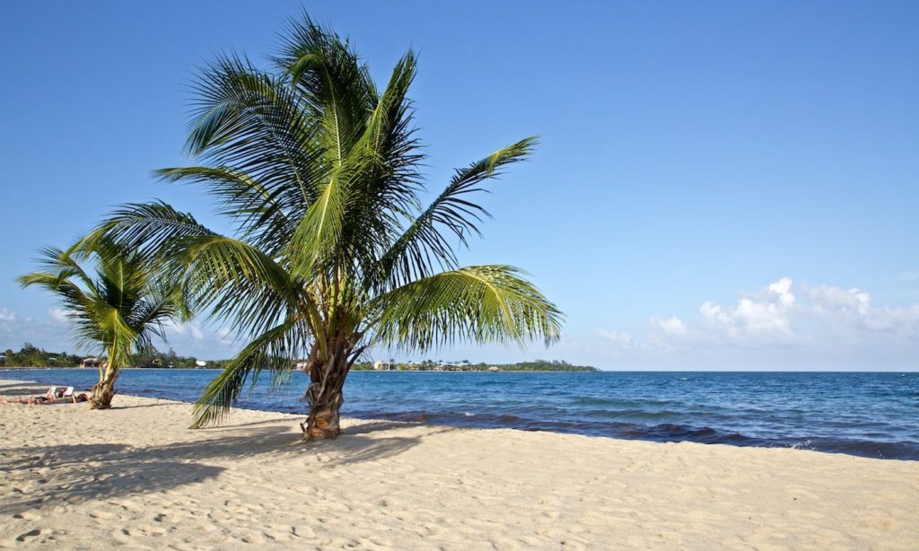 Best Beaches Image: Belize. A beautiful Belizean beach has pristine sand, green palm trees, gentle waves, and blue skies.