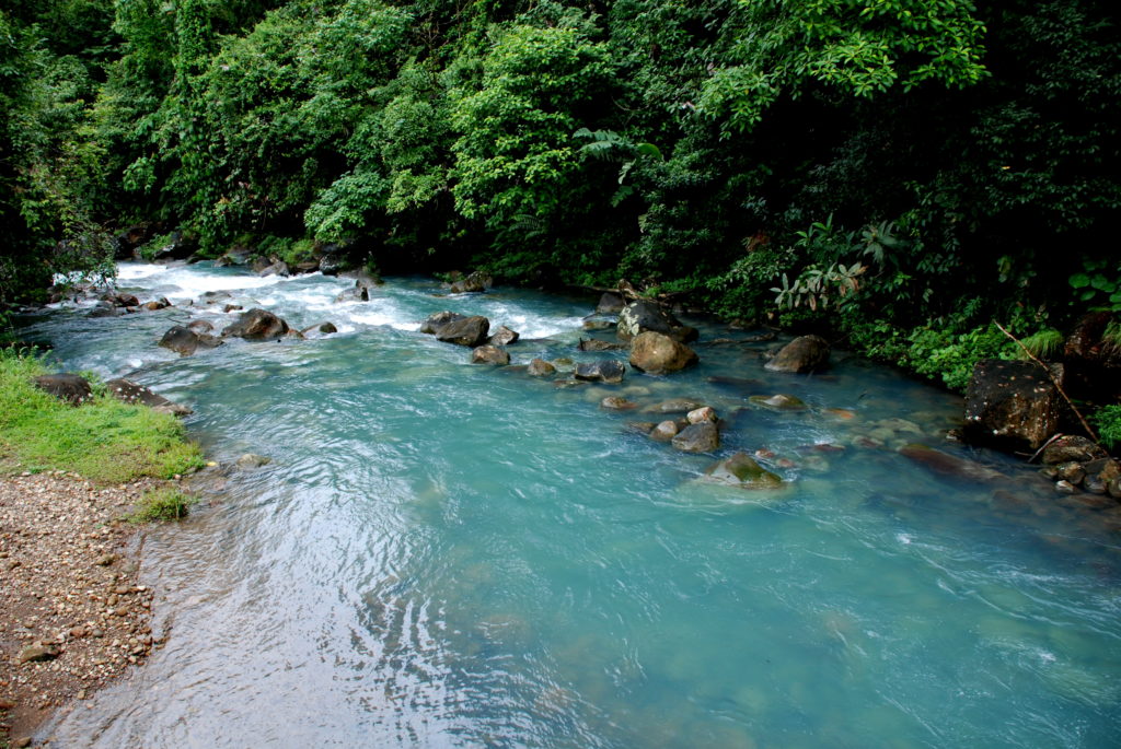 Rainforests & Natural Wonders Image: Rio Celeste. A photograph depicts the incomparably turquoise waters of the Rio Celeste.