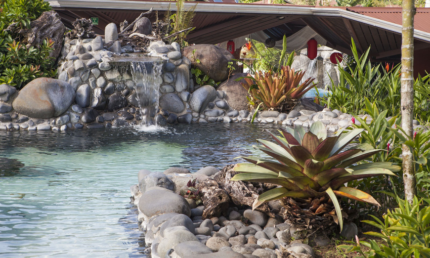 Accessible Travel Image: A pool with foliage at the hotel.
