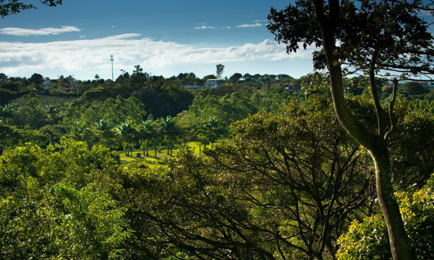Accessible Travel Image: The landscaping of the hotel, which is also a coffee plantation.