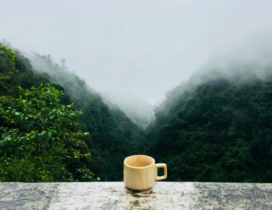 Altitude Sickness Image: A white ceramic cup rests on a stone ledge, overlooking a tall canopy covered in mist.