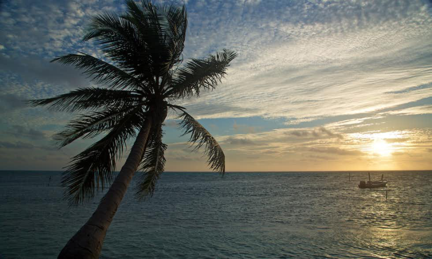 Belize and Guatemala Itinerary Image: Early sunset over the water. A boat in the distance and a lone palm tree to the left.