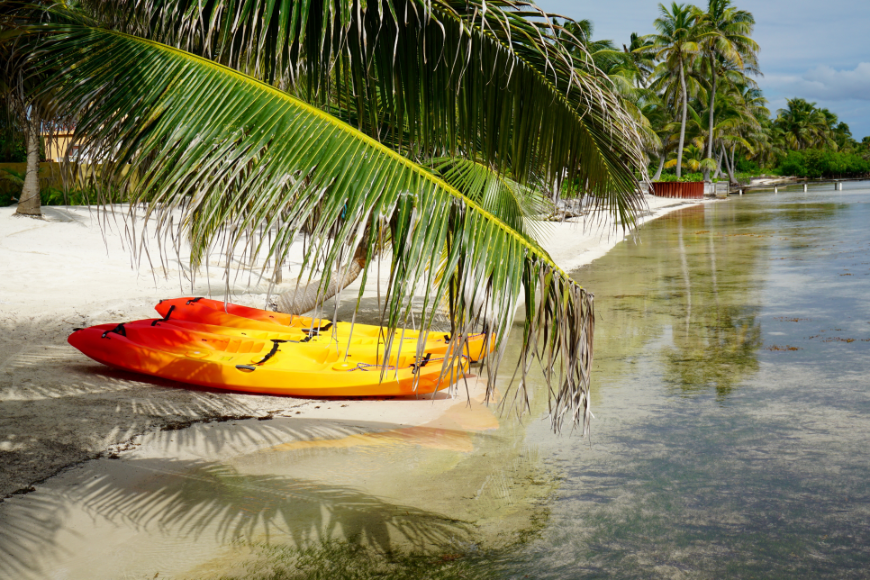 Best Islands in Belize for Couples Image: Two red and yellow kayaks rest on the shore's edge of a palm tree-lined beach.