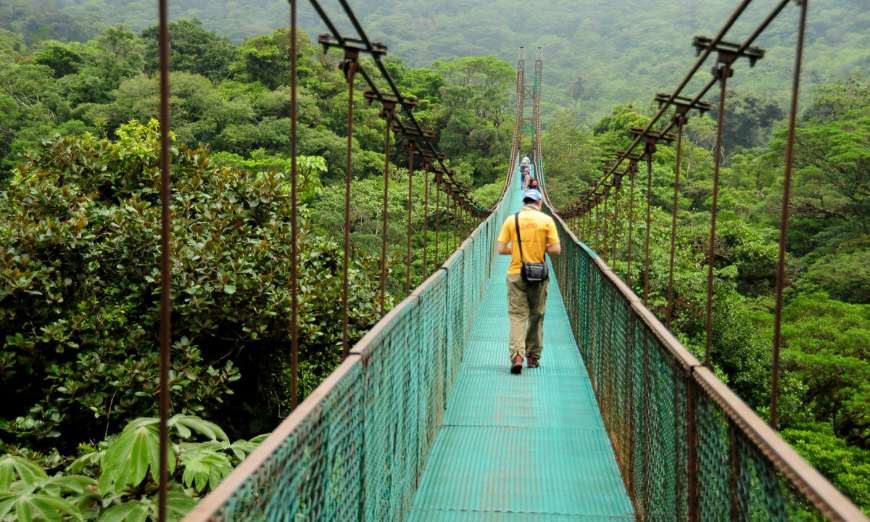 Best Travel Stories Image: A person walks over a bridge suspended above a rainforest canopy—this is known as a cloud forest.
