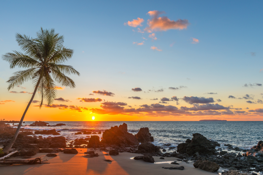 Central America in Winter Image: Sunset on a tropical beach with palm tree.