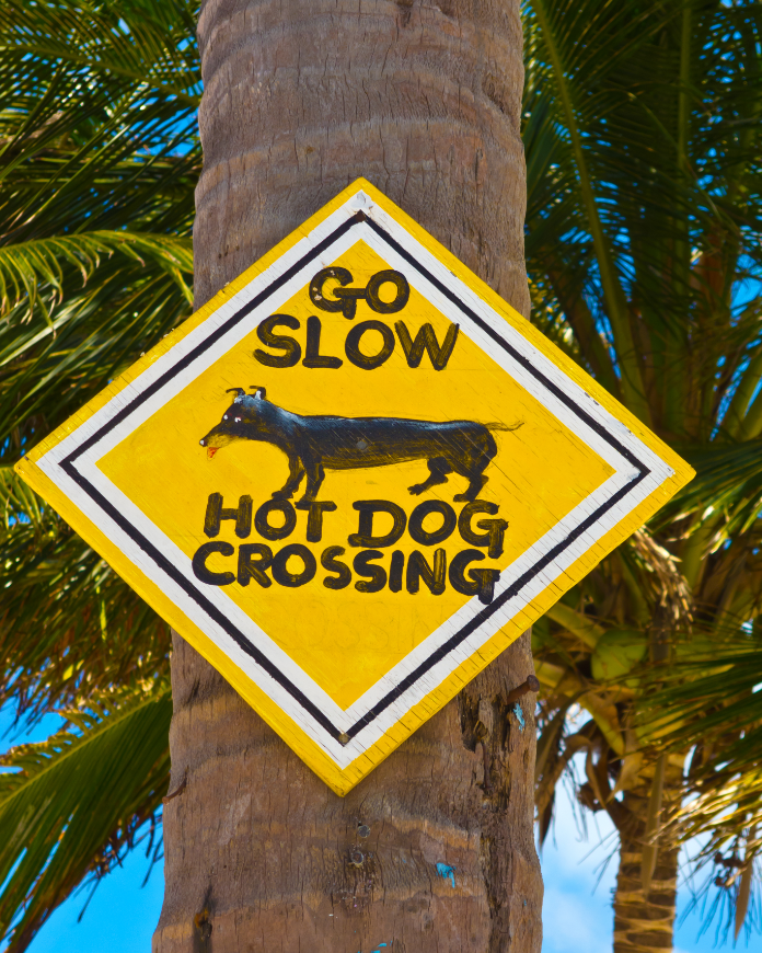 Central America Islands Image: A yellow caution sign reads 'go slow, hot dog crossing' with a picture of a dachshund, or, wiener dog.