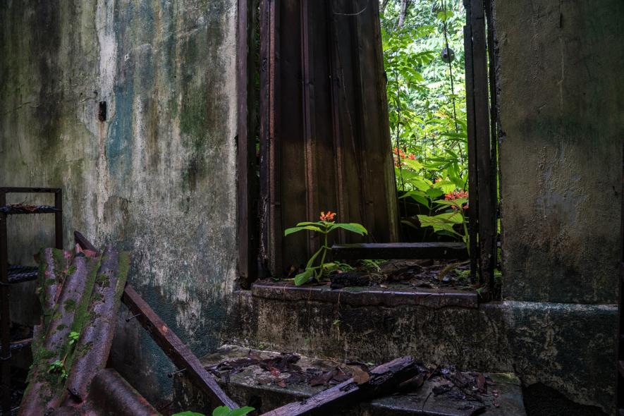 From Prison to Eco Habitat—The Fascinating Transformation of Panama’s Coiba Island