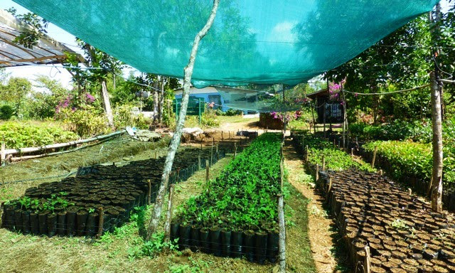 Costa Rica Activities Image: Rows of greenery await planting on a small farm.