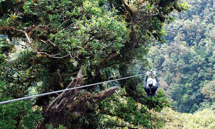 Costa Rica Rainforest Tours Image: A traveller soars through the jungle on a zip line.