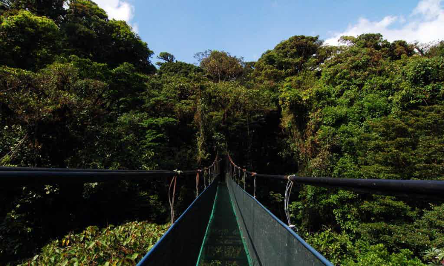 Costa Rica Rainforest Tours Image: Crossing a suspension bridge under a blue sky.