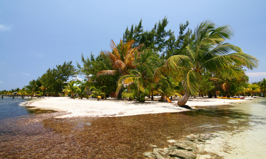 Diving In Belize Image: A small palm tree covered island in Glover's Reef.