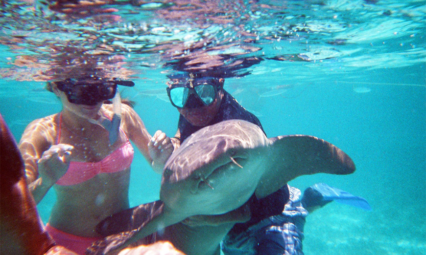 Diving In Belize Image: A male snorkeler holds a nurse shark whilst a female snorkeler is poised to touch the animal.