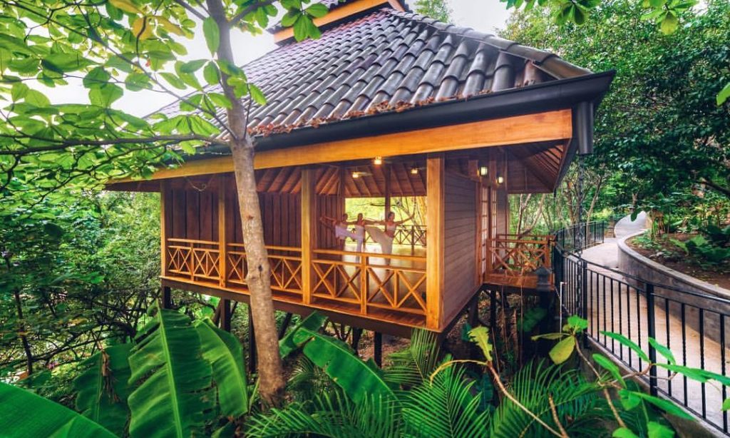 Eco-Friendly Costa Rica Image: Three yoga practitioners are in an open-air building holding their poses, surrounded by trees.