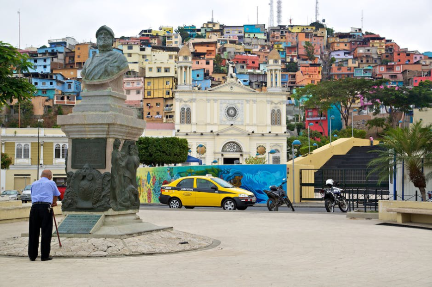 Ecuador Wildlife Image: A gentleman with a cane reads the inscription on a statue in the middle of a colorful city. 