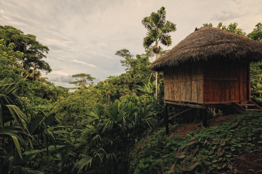 Ecuador Wildlife Image: A bamboo lodge with thatched roof on stilts in Cuyabeno Wildlife Reserve.