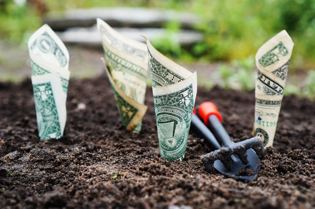 Environmentally Sustainable Tourism Image: United States Dollar bills are rolled up into cones, and stuck into the ground. Gardening tools are adjacent.