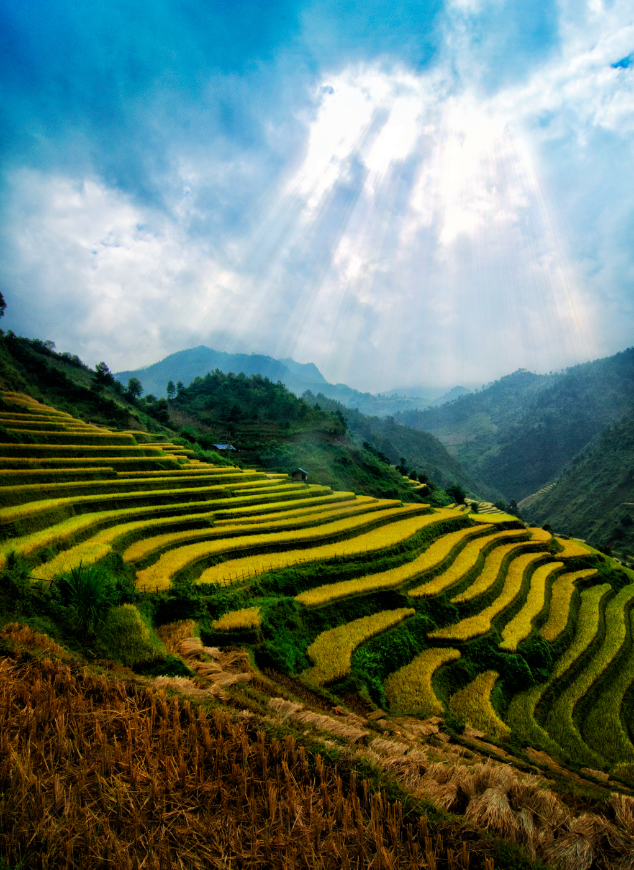 Is Sapa Worth Visiting Image: Sunlight beams down across the verdant landscape of Sapa.