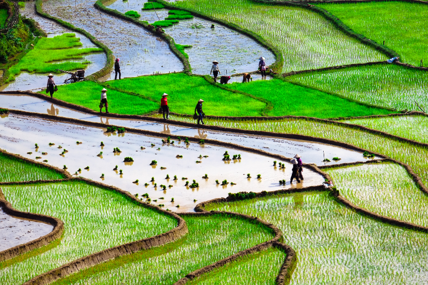 Is Sapa Worth Visiting In 2019?