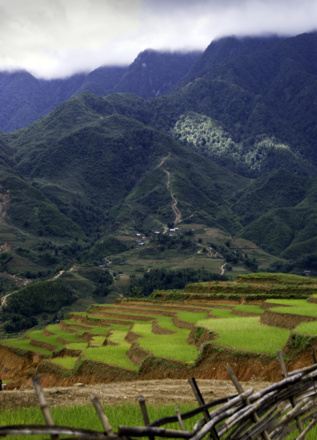 Is Sapa Worth Visiting Image: Sapa is a series of staggered rice paddies, winding trails, and mountainous ridges.