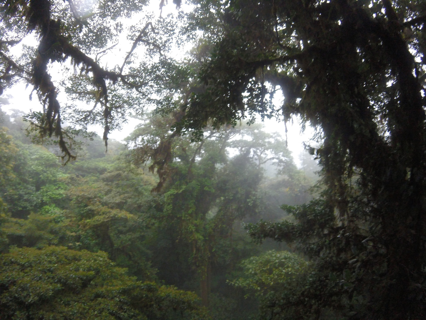 Two Days In The Clouds