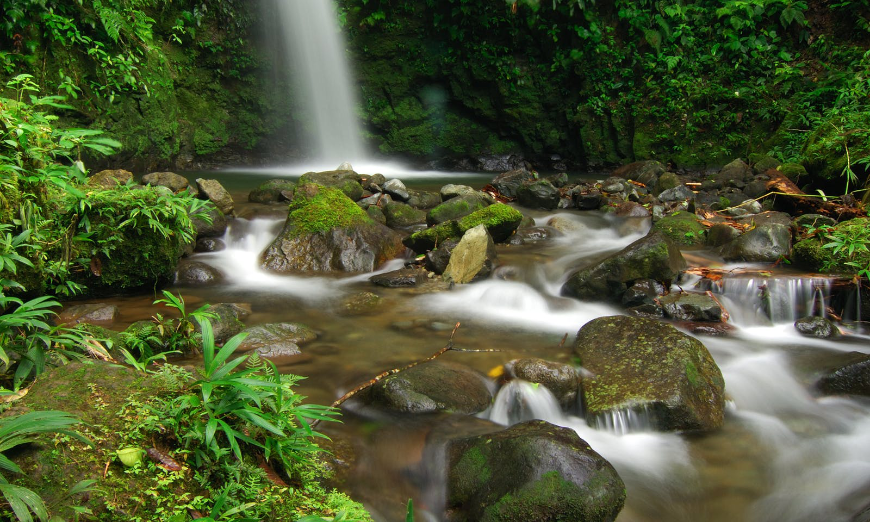 Moving to Panama Image: A small waterfall splashes over rocks, surrounded by lush foliage.