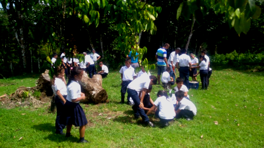 Offset Travel Carbon Footprint Image: Groups of school children clad in their uniforms are standing in groups planting trees.