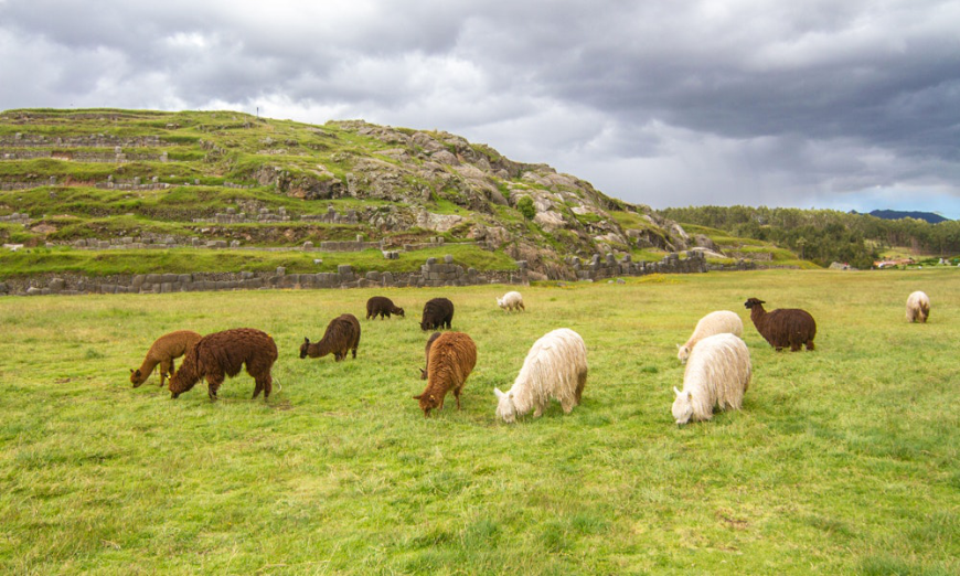 Peru: The More The Merrier