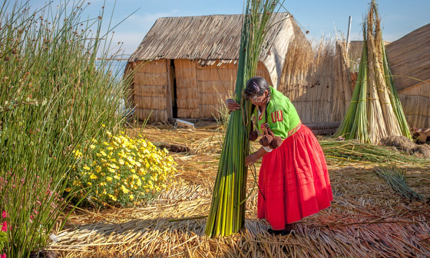 Peru Group Tour Image: A woman maneuvers a tall bundle of grass.