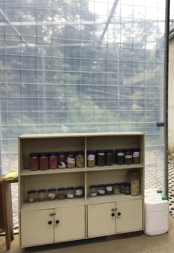 Reforestation Image: Within one of the nursery operation's rooms is a cabinet filled with seeds awaiting planting.