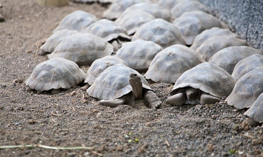 5 Ways To Think About Sustainable Travel In 2020