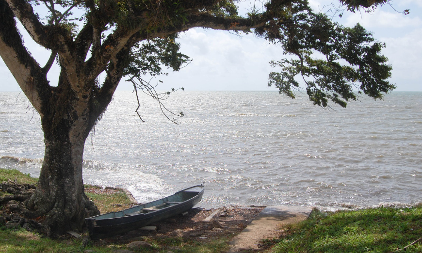 Sustainable Travel Image: A lone canoe is docked under a tree on an isolated beach.