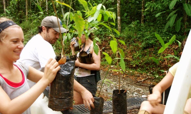Sustainable Tourism Image: A group of volunteers prepares to plant saplings.