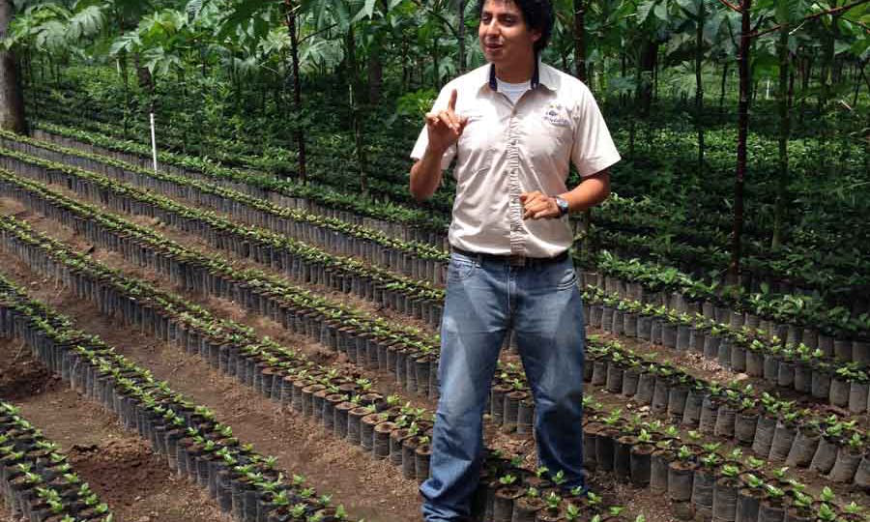 Sustainable Travel Image: A tour guide or volunteer leader is surrounded by plants waiting to go into the ground.