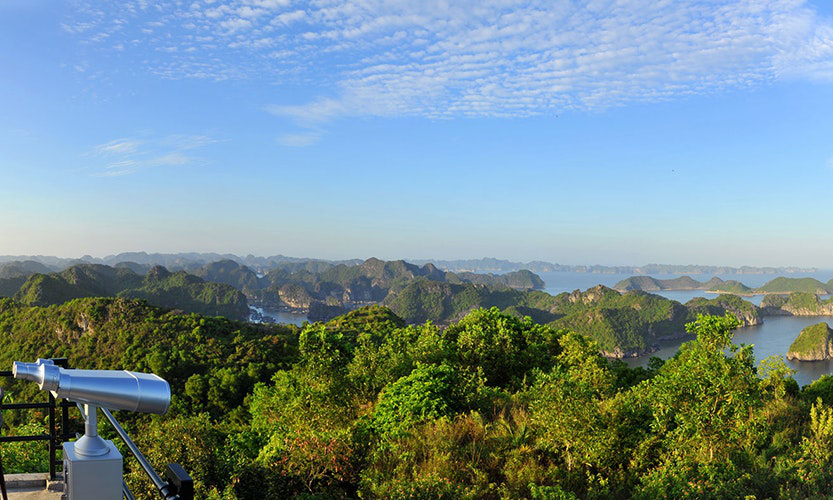 Vietnam Island Destination Image: View from an overlook shows many trees and smaller islands.