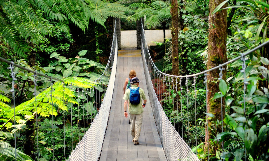 Why Choose A Travel Agent Image: A pair of travelers crosses a suspended bridge in a jungle.