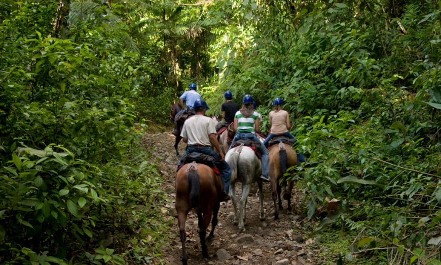 Why Choose A Travel Agent Image: Five people are seen from behind on a horseback riding tour.