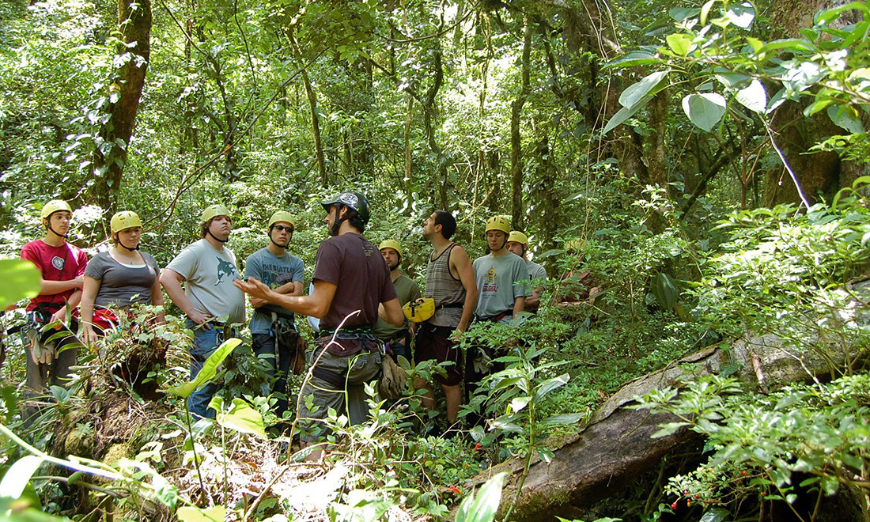 Why Choose A Travel Agent Image: Eight people wearing yellow helmets stand in a rainforest listening to their guide.