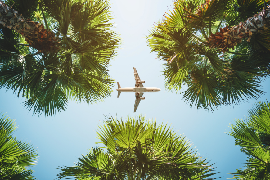 Looking up through palm trees, an airplane flies through a blue sky.